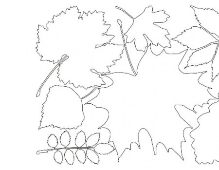 Трафарет осенних листьев из бумаги своими руками (47 фото)