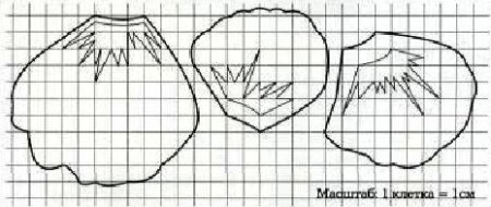 Лепестки мака выкройка