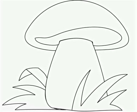 Трафарет грибов своими руками (47 фото)