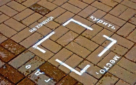 Трафарет на асфальте