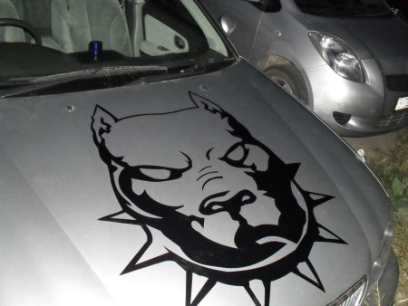 Трафарет на капот автомобиля