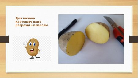 Картошка рисунок для печати