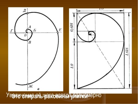 Золотое сечение холодная ковка чертежи