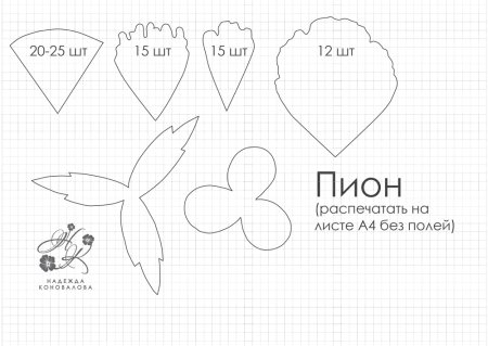 Трафарет пиона из фоамирана