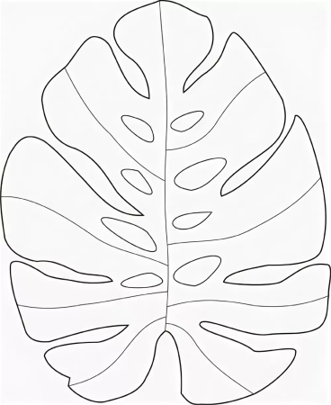 Лист монстеры схема