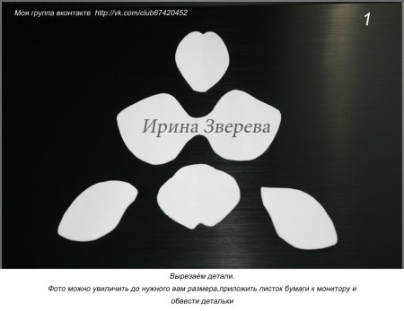 Лекало орхидеи из фоамирана