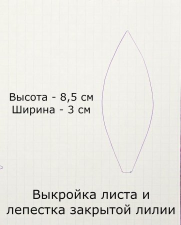 Выкройка лилии
