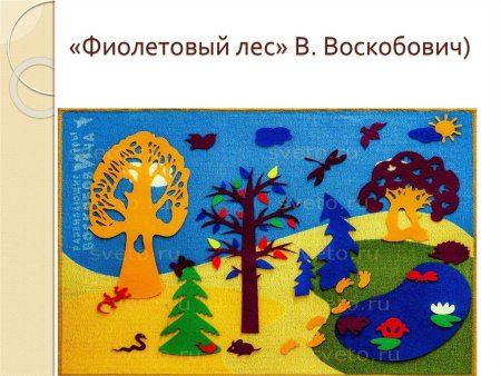 Воскобович технология фиолетовый лес Воскобовича фиолетовый