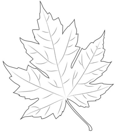 Трафареты кленовых листьев для вырезания