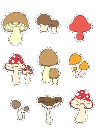 «Грибы для белки» (Комарова, с.36)