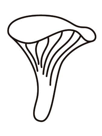 Трафареты грибов