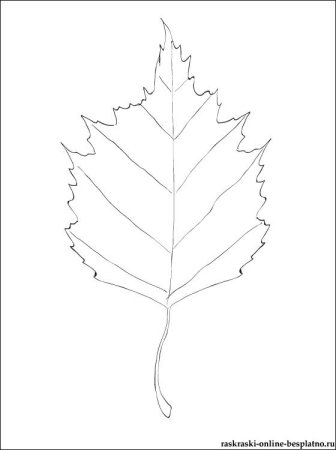 Трафареты листьев березы для вырезания из бумаги (44 фото)