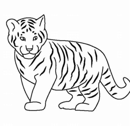 Амурский (Уссурийский) тигр