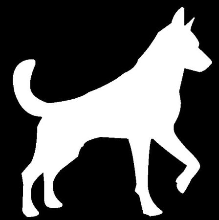 Сибирский хаски