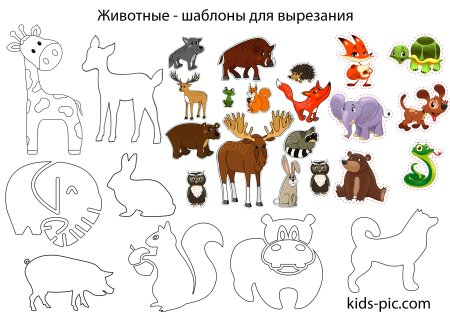 Контуры животных для детей