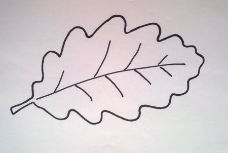 Дубовые листочки