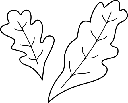 Трафареты листьев дуба для вырезания из бумаги (46 фото)