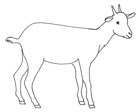 Корова коза раскраска