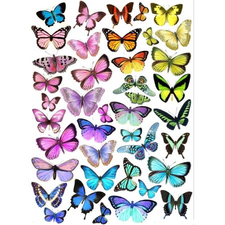 Трафареты бабочки из вафельной бумаги (48 фото)