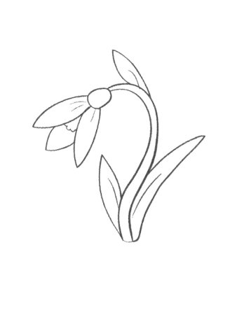 Подснежники раскраска для детей