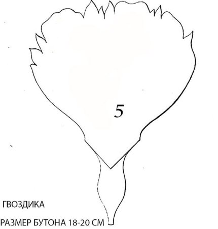 Шаблон лепестков гвоздики