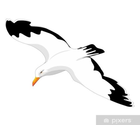 Чайки трафарет для вырезания