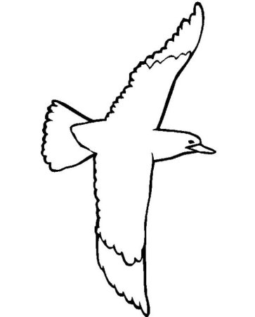 Трафареты чайки для вырезания из бумаги (45 фото)