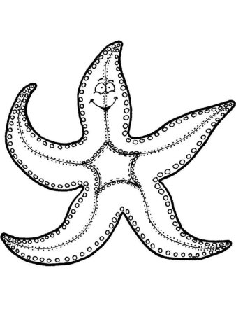 Морская звезда раскраска