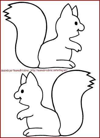 Белка контур