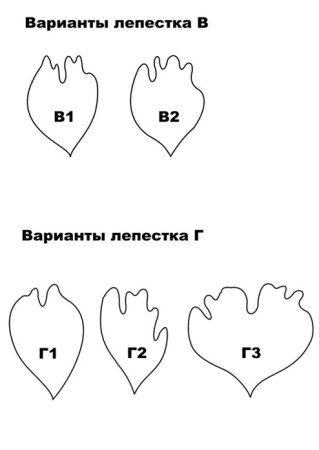 Выкройка лепестков пиона