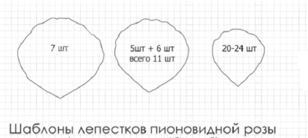 Трафарет лепестков пиона для вафельной бумаги