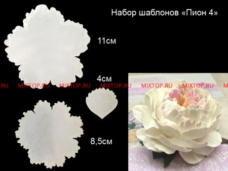 Выкройка пиона из фоамирана