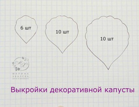 Трафареты лепестков для пионов