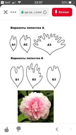 Выкройка пиона