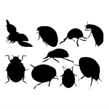 Божья коровка силуэт
