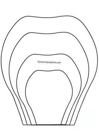 Трафареты лепестков цветов