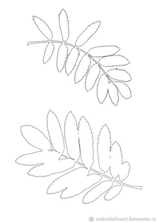 Лист рябины раскраска