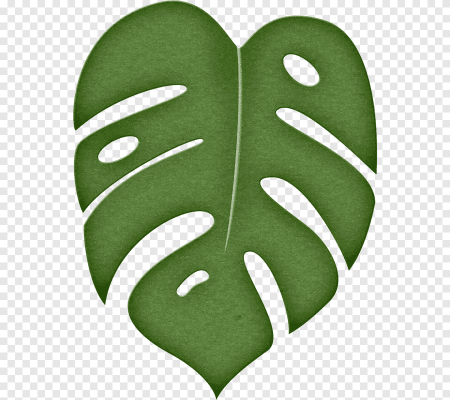 Monstera Leaf шаблон