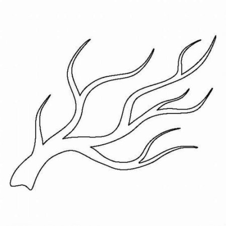 Ветка для аппликации