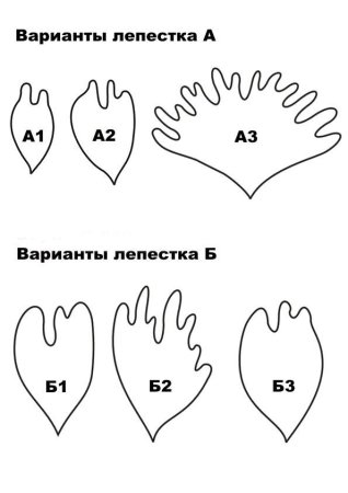 Лепесток пиона трафарет