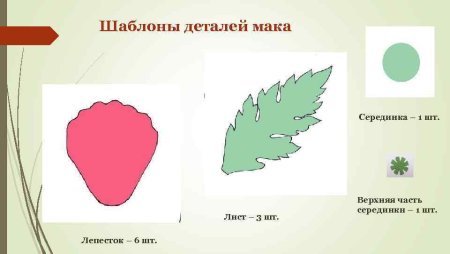 Лепесток мака трафарет