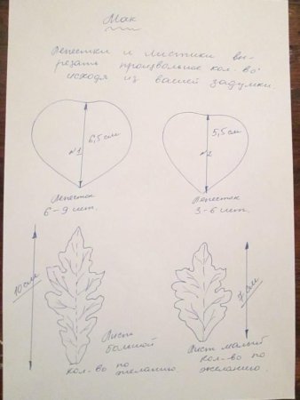 Выкройка лепестков мака
