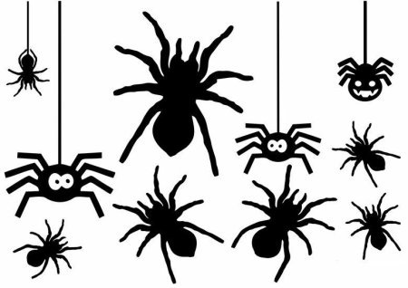 Паук вырезать
