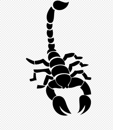Трафареты скорпиона для вырезания из бумаги (45 фото)