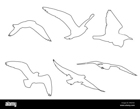 Трафареты чайки из бумаги (43 фото)