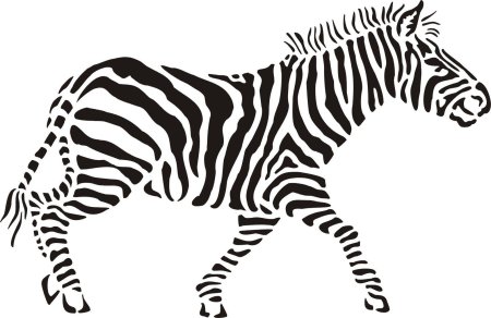 Трафареты зебры из бумаги (41 фото)