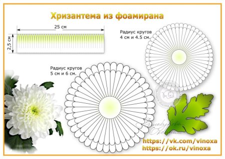 Выкройка цветка хризантемы из фоамирана