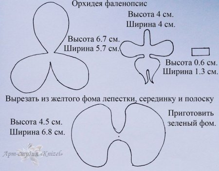 Выкройка лепестков орхидеи