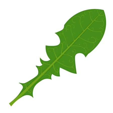 Лист одуванчика трафарет