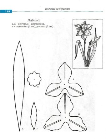 Выкройка цветка лилии